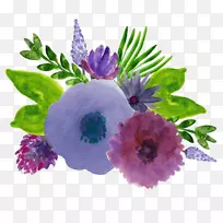 Ë®²Ê»×Ïɫˮ²Ê»-¿ÕÈôÍø Ë®²Ê»×Ïɫˮ²Ê»-¿ÕÈôÍø