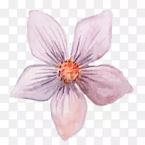 ����ˮ�ʻ�������ˮ�ʻ���-������