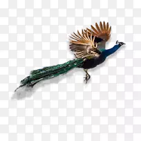 ��ë-��ë-������