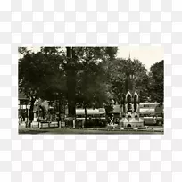 �������صض�����������-������