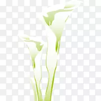 花瓣草桌面壁纸手绘绿花-空若网 花瓣草桌面壁纸手绘绿花-空若网