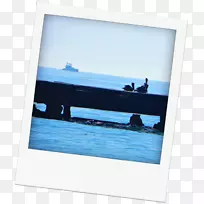 �Ӵ�������ʾ����ý����ӻ����.����-������