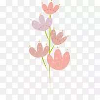 粉色矢车菊-粉红色花-空若网 粉色矢车菊-粉红色花-空若网