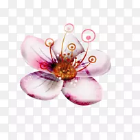 花瓣-粉红色花-空若网 花瓣-粉红色花-空若网