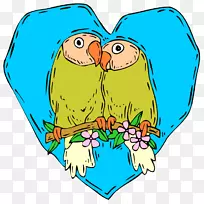 菲舍尔的爱情鸟黄领爱情剪贴画-婚纱照-空若网 菲舍尔的爱情鸟黄领爱情剪贴画-婚纱照-空若网