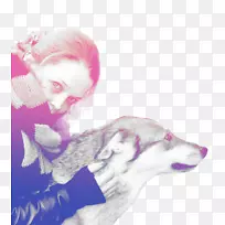 犬科,鼻子,粉红色,-狗-空若网 犬科,鼻子,粉红色,-狗-空若网