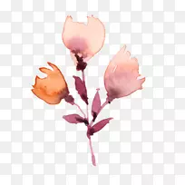 植物水彩画花画水彩画-空若网 植物水彩画花画水彩画-空若网