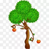 树枝,橡树,苹果,植物-树-空若网 树枝,橡树,苹果,植物-树-空若网