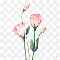 水彩画花秋-水彩画花-空若网 水彩画花秋-水彩画花-空若网