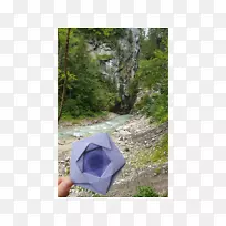 自然保护区树塑料树-空若网 自然保护区树塑料树-空若网