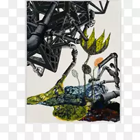 ��-��-������