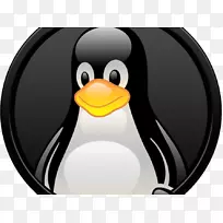 linux安装web主机服务计算机软件计算机服务器-linux-空若网 linux安装web主机服务计算机软件计算机服务器-linux-空若网