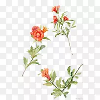 水彩画花卉设计水彩画-空若网 水彩画花卉设计水彩画-空若网