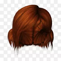 ������ɫȾ����-¬��˹���ȸ�����-������