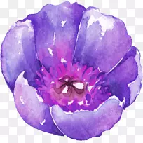 ˮ�ʻ�����-ˮ�ʻ���-������