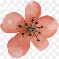 Ë®²Ê»Óͻˮ²Ê»-¿ÕÈôÍø Ë®²Ê»Óͻˮ²Ê»-¿ÕÈôÍø