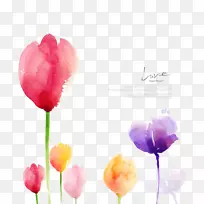 Ë®²Ê»»¨»Ü´´ÒâË®²Ê»´°°ÙÒ¶´°ÒõÓ°Ë®²Ê»»¨»Ü-¿ÕÈôÍø Ë®²Ê»»¨»Ü´´ÒâË®²Ê»´°°ÙÒ¶´°ÒõÓ°Ë®²Ê»»¨»Ü-¿ÕÈôÍø