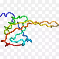 人体首饰有机体线剪贴画线-空若网 人体首饰有机体线剪贴画线-空若网