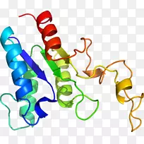 �ߵ������������-������