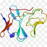 �ߵ������-��-������