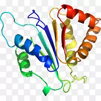 �����鱦���л����������-������