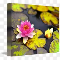 画廊包帆布开花植物艺术野花莲花25-空若网 画廊包帆布开花植物艺术野花莲花25-空若网