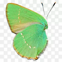 ������˹���������������-����-������