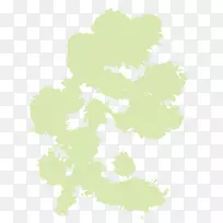 叶绿色开花植物桌面壁纸图案-叶-空若网 叶绿色开花植物桌面壁纸图案-叶-空若网