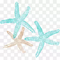 无海星内容剪辑艺术.海星剪贴画.-空若网 无海星内容剪辑艺术.海星剪贴画.-空若网