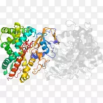 人体首饰有机体线剪贴画线-空若网 人体首饰有机体线剪贴画线-空若网