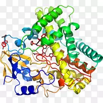 ���߼�����-��-������