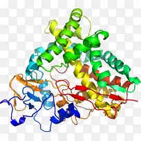 线点生物剪贴画线-空若网 线点生物剪贴画线-空若网