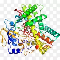 人体首饰有机体线剪贴画线-空若网 人体首饰有机体线剪贴画线-空若网