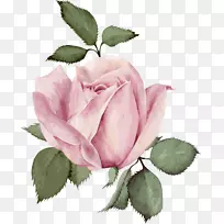 婚礼请柬玫瑰花-空若网 婚礼请柬玫瑰花-空若网