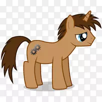 野马猫驴毛包动物野马-空若网 野马猫驴毛包动物野马-空若网