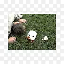 狗的动物鼻子-狗-空若网 狗的动物鼻子-狗-空若网