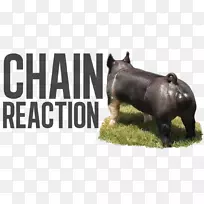 澳大利亚大使馆,巴黎佛罗里达医院庆祝活动卫生事业赞助商-澳大利亚-空若网 澳大利亚大使馆,巴黎佛罗里达医院庆祝活动卫生事业赞助商-澳大利亚-空若网