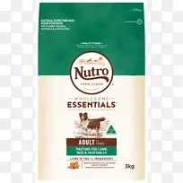 宠物狗-空若网 宠物狗-空若网