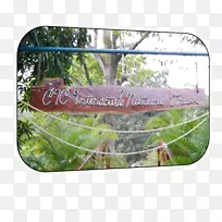 树-树-空若网 树-树-空若网