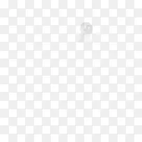 ����ʹ��Ч����������-Amy Poehler-������