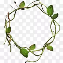 剪贴画-绿叶草圈-空若网 剪贴画-绿叶草圈-空若网