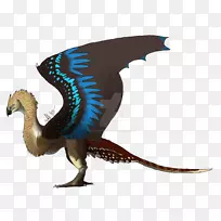 ��ද����ë-������