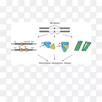 品牌图线-空若网 品牌图线-空若网