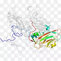 �ߵ������������-������