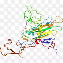 �ߵ�ƽ����Ƽ�������-������