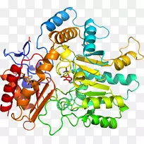 人体首饰有机体线剪贴画线-空若网 人体首饰有机体线剪贴画线-空若网