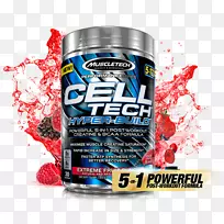 ��ʳ��������㼡���˶�Ӫ��-Kliq-������