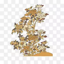 桌面壁纸.花-空若网 桌面壁纸.花-空若网