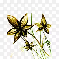 花瓣彩绘绿花-空若网 花瓣彩绘绿花-空若网