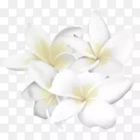 �׻�������-�׻�-������